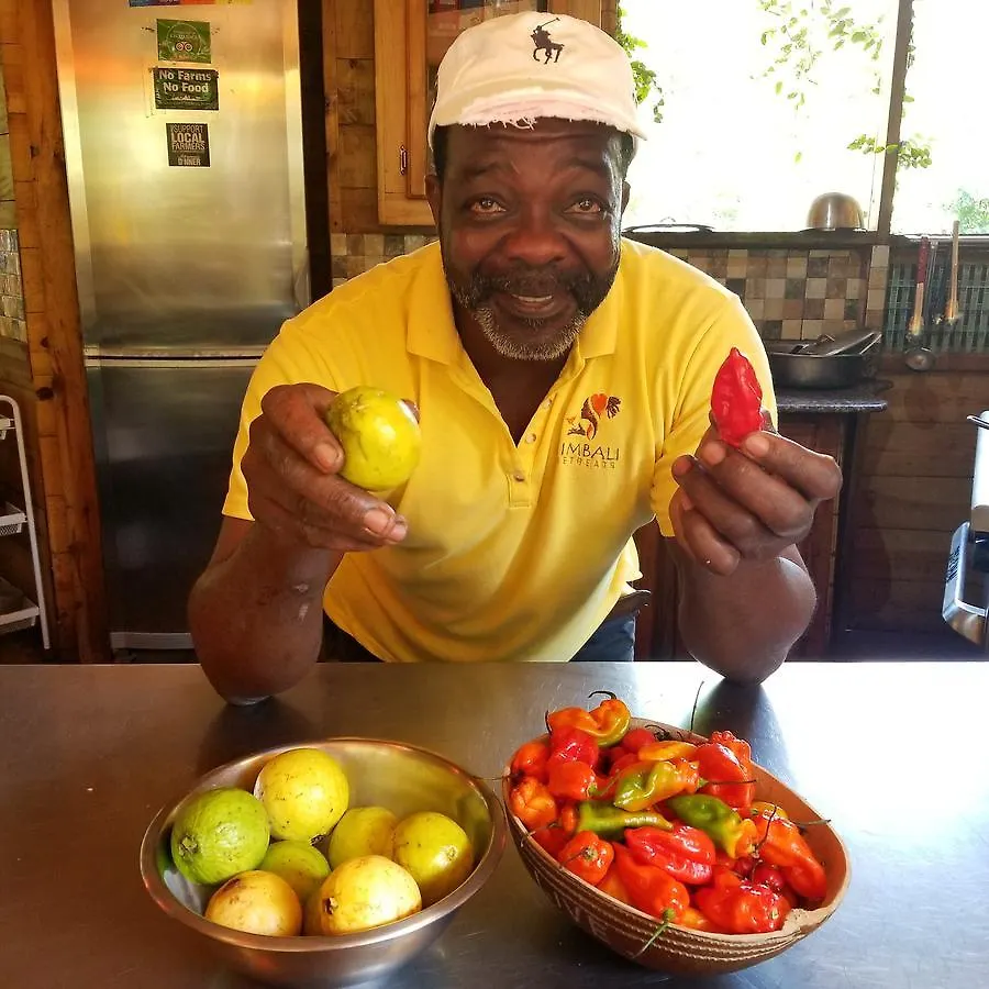 Zimbali Culinary Retreats Villa Negril 0*,