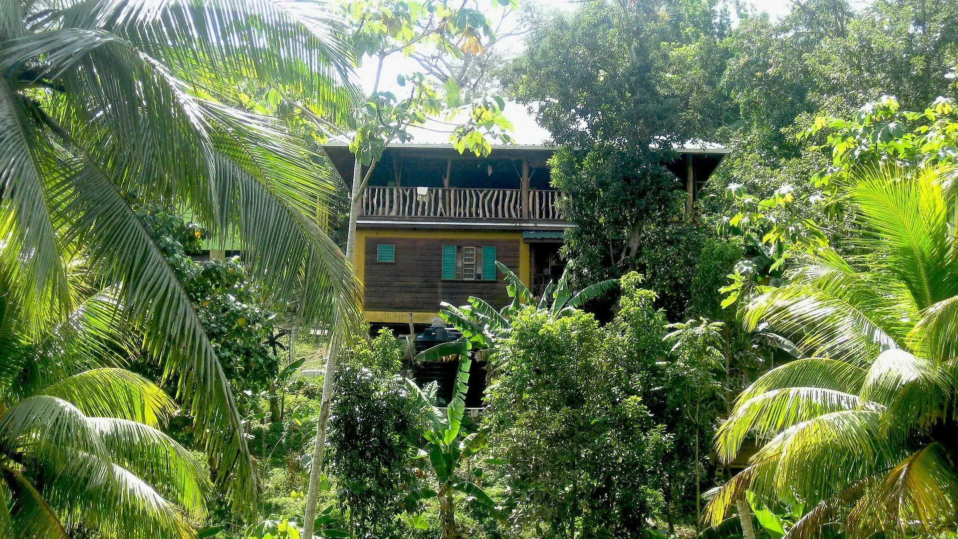 Zimbali Culinary Retreats Villa Negril 0*,  Jamaica